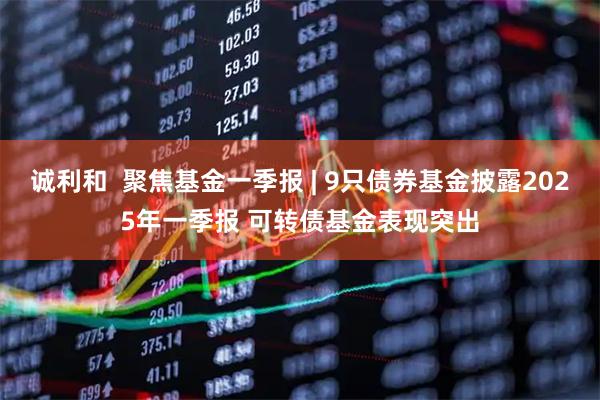 诚利和  聚焦基金一季报 | 9只债券基金披露2025年一季报 可转债基金表现突出