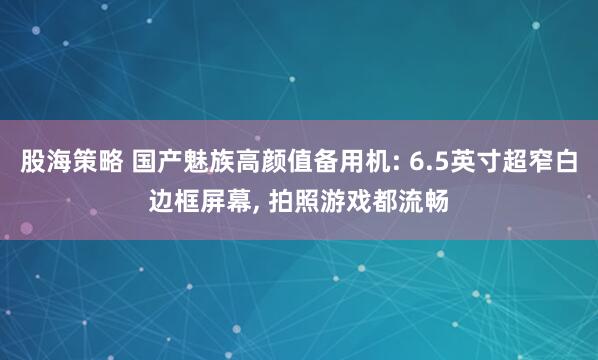 股海策略 国产魅族高颜值备用机: 6.5英寸超窄白边框屏幕, 拍照游戏都流畅